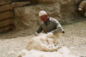 Стрижка овець на Криті