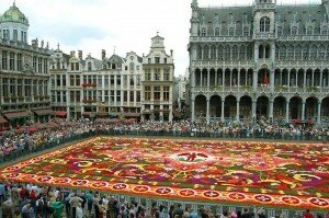 Брюссельський квітковий килим - свято кольору і квітів